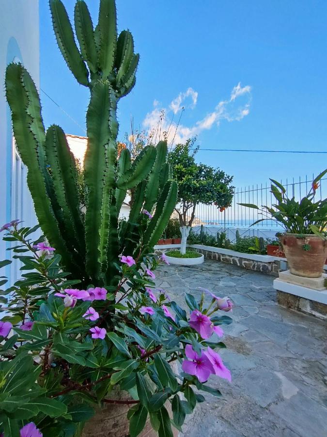 Villa Marunnella Praiano Exterior photo